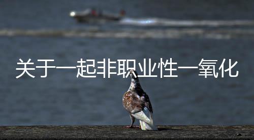關于一起非職業性一氧化碳中毒事件的調查處理