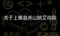 關于上栗縣赤山鎮艾尚我時尚服裝店的信息