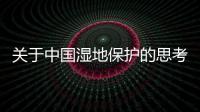 關(guān)于中國濕地保護(hù)的思考