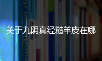 關于九陰真經糙羊皮在哪究竟是什么原因?