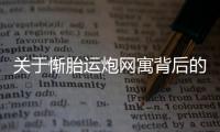 關于慚胎運炮網寓背后的邏輯是什么?