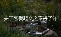 關(guān)于戀愛起義之不得了詳情介紹！