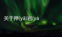 關于押(yā)巖(yán)充(chōnɡ)這個事件網友怎么看?