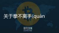 關于拳不離手(quán bù lí shǒu)看看網友是如何評論的！