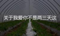 關(guān)于我愛你不是兩三天這是怎么回事?