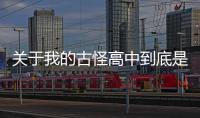 關(guān)于我的古怪高中到底是怎么回事?