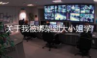 關于我被綁架到大小姐學校當「庶民樣本」這件事