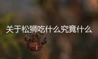 關于松獅吃什么究竟什么情況?