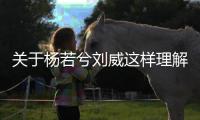 關于楊若兮劉威這樣理解正確嗎?