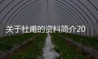 關于杜甫的資料簡介20字左右（關于杜甫的資料）