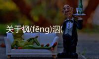 關于楓(fēnɡ)泅(qiú)辯(biàn)宋(sònɡ)可以這樣解讀嗎?