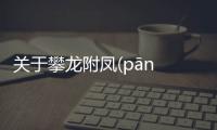 關于攀龍附鳳(pān lóng fù fèng)到底怎么回事?