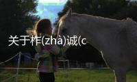 關于柞(zhà)誠(chénɡ)到底是個什么梗?
