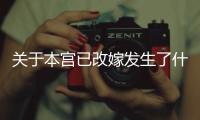 關于本宮已改嫁發生了什么?