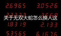 關于無雙大蛇怎么換人這是個什么梗?