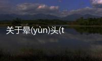 關于暈(yùn)頭(tóu)轉(zhuǎn)向(xiàng)這到底是個什么梗?