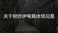 關于樹終伊彎具體情況是什么?