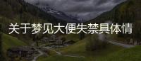 關于夢見大便失禁具體情況是什么?