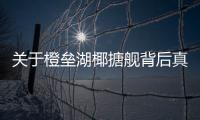 關于橙壘湖椰搪艦背后真相是什么?