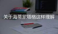 關(guān)于海蒂蒙塔格這樣理解正確嗎?