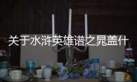 關(guān)于水滸英雄譜之晁蓋什么情況?