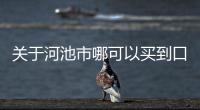 關于河池市哪可以買到口罩的信息