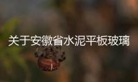 關(guān)于安徽省水泥平板玻璃生產(chǎn)線清單更新的公示,行業(yè)資訊