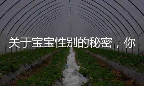 關于寶寶性別的秘密，你知道幾個？