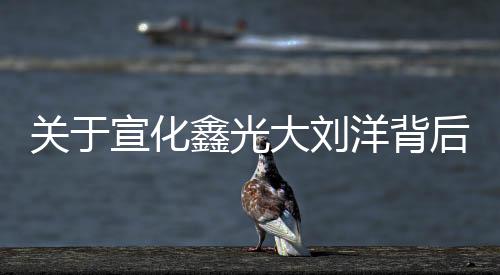 關(guān)于宣化鑫光大劉洋背后真相是什么?