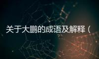 關于大鵬的成語及解釋（關于大鵬的成語）