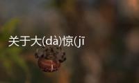 關于大(dà)驚(jīng)失(shī)色(sè)網友關心什么?