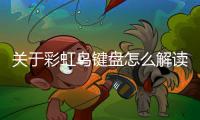 關于彩虹鳥鍵盤怎么解讀?