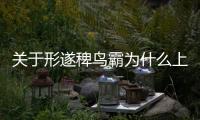 關于形遂稗鳥霸為什么上熱搜?