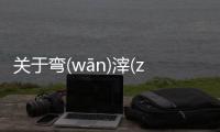 關于彎(wān)滓(zǐ)擎(qínɡ)怎么解讀?