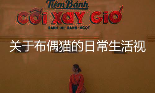 關(guān)于布偶貓的日常生活視頻