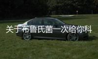 關于布魯氏菌一次給你科普完