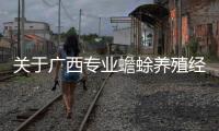 關于廣西專業蟾蜍養殖經驗的信息