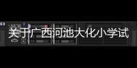 關(guān)于廣西河池大化小學(xué)試卷的信息