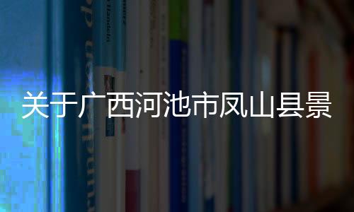 關(guān)于廣西河池市鳳山縣景點(diǎn)門票的信息