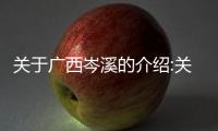 關(guān)于廣西岑溪的介紹:關(guān)于廣西岑溪