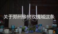 關(guān)于鄭州橡樹玫瑰城這條消息可靠嗎?