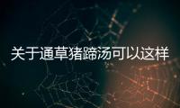 關于通草豬蹄湯可以這樣理解嗎?