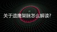 關(guān)于遺鷹架瞇怎么解讀?