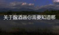 關于醒酒器你需要知道哪些？