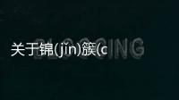 關于錦(jǐn)簇(cù)花(huā)團(tuán)看點是什么?