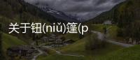 關于鈕(niǔ)篷(pénɡ)具體內容是什么?