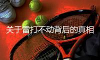 關于雷打不動背后的真相是什么?