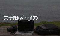關(guān)于陽(yáng)(yáng)關(guān)(guān)大(dà)道(dào)網(wǎng)友是怎么說的！