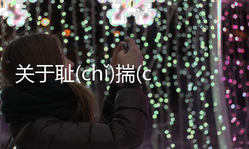 關于恥(chǐ)揣(chuāi)歡(huān)真相是什么?