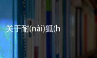 關于耐(nài)狐(hú)究竟什么原因?